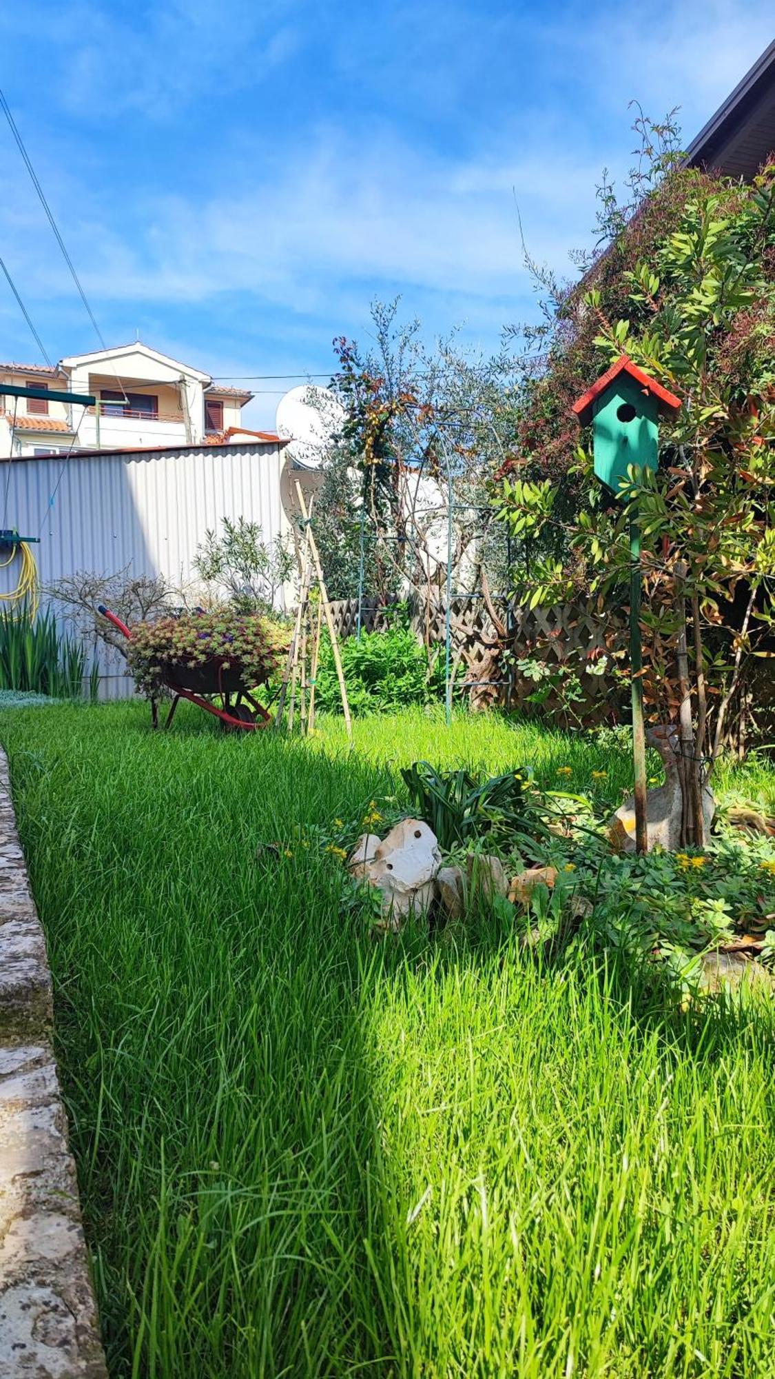 Apartments Anic Novigrad  Bagian luar foto