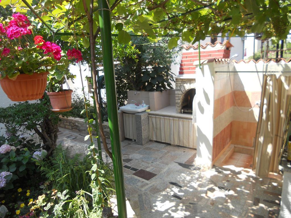 Apartments Anic Novigrad  Bagian luar foto